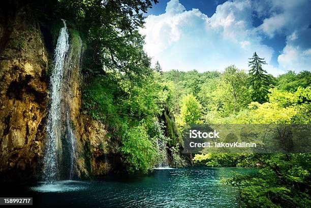 Waterfall In Deep Forest Stock Photo - Download Image Now - Beauty In Nature, Bush, Croatia