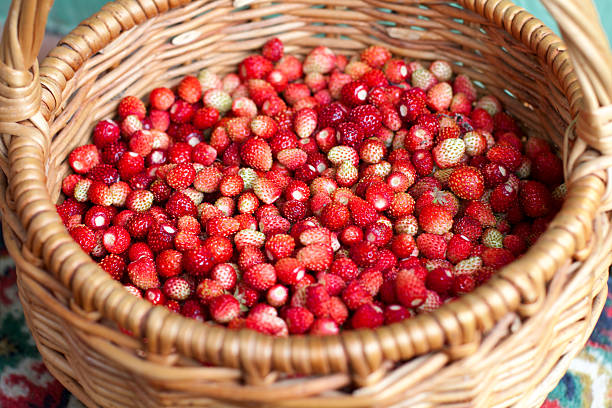 fragola fresca - foto stock