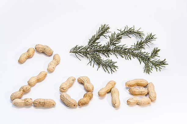 Date 2013 and a fresh fir branch. Focus on nuts. Nikon D7000, Nikkor 16-85mm. Horizontal image with white background. Picture can be used as a synonym for christmas or new years eve.