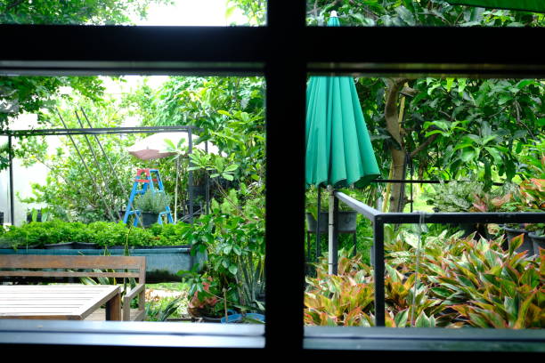 istock View from the window looking out into the garden. 1589932510