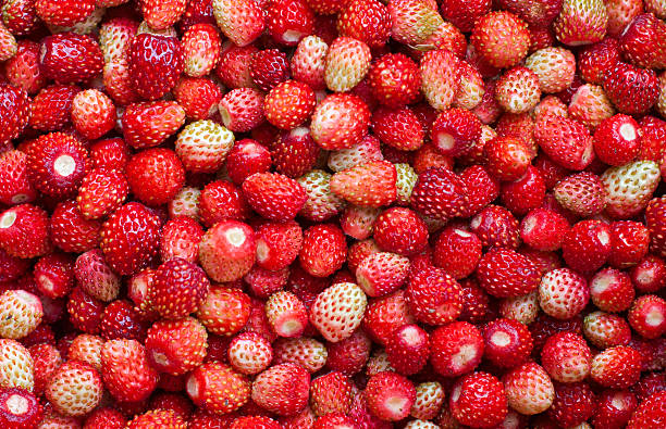 fragola fresca - foto stock