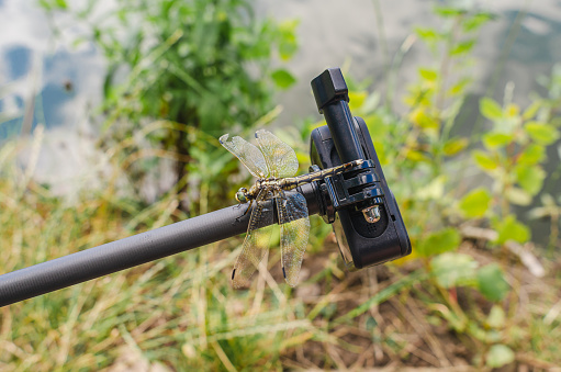 Dragonfly sits on a tripod action camera in nature. Shooting nature action camera. Interesting insects