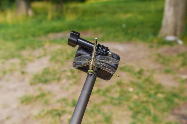 istock Dragonfly sits on tripod action camera in nature. Shooting nature action camera. Interesting insects 1589941483