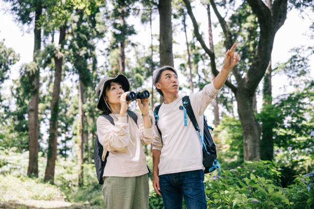 istock Japanese couple documents their birdwatching journey in a shared notebook amidst the tranquility of a forest. 1589945812