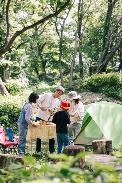 Japanese family preparing lunch at campsite in nature stock photo