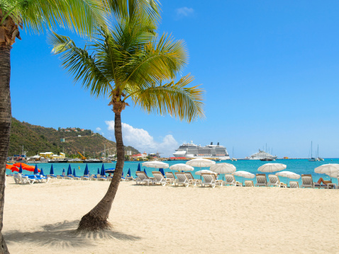 Tropical beach with palm tree and cruise ship in distance