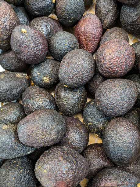 istock Lots of hass avocado top view 1589962027
