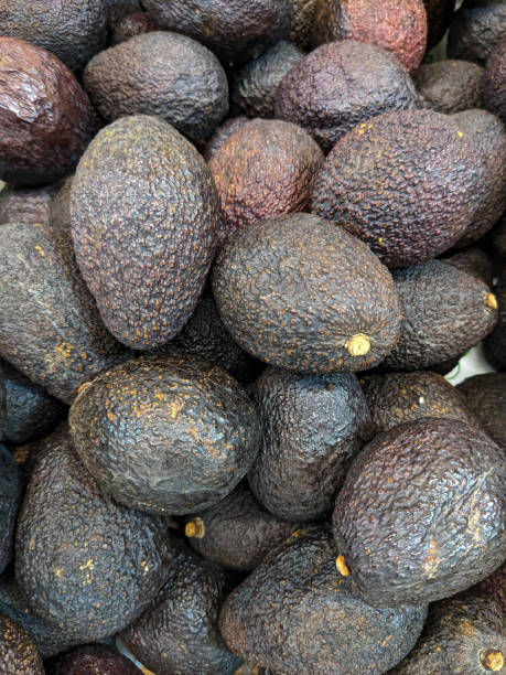 istock Lots of hass avocado top view 1589962041