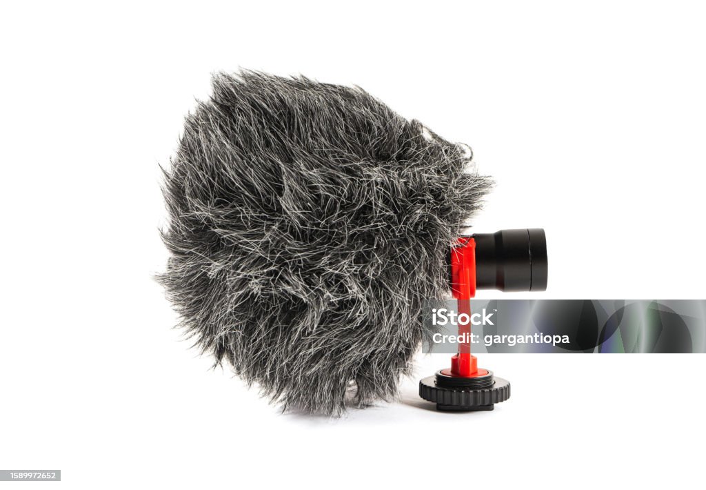 Compact Modern Microphone Small Modern Oncamera Microphone Directional Microphone Audio Recording ...
