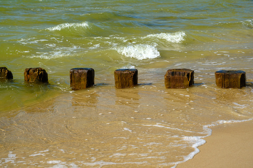 Wooden wave-breaking poles on a sunny day, a row of grooves on the Baltic Sea coast in summer, Helps to reduce the force of waves and coastal erosion. Latvia.