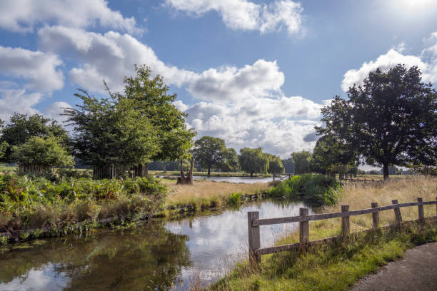 istock Bushy park stream and ponds view from carpark 1589978729