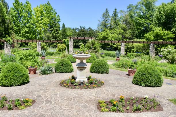 istock Garden in the Park 1589978747