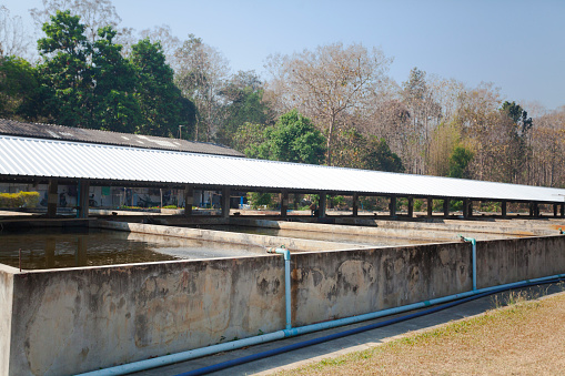 Concrete sinks and basins for aquaculture in Chiang Mai province near On Tai, Chiang Mai, San Kamphaeng district