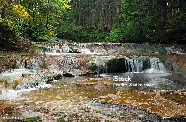 Photo libre de droit de Cascade Brook banque d'images et plus d'images libres de droit de Arbre - Arbre, Beauté de la nature, Bois