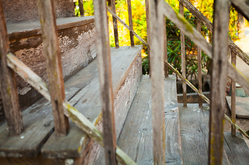 Entrance to a dark, damp, brick cellar with a wooden lid and steps with tiles. Cellar with mold and mildew.