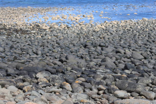 istock Coastline covered in smooth grey boulders 1589986925