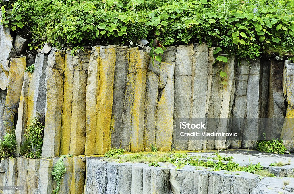 Pflanze on the rocks - Lizenzfrei Blatt - Pflanzenbestandteile Stock-Foto