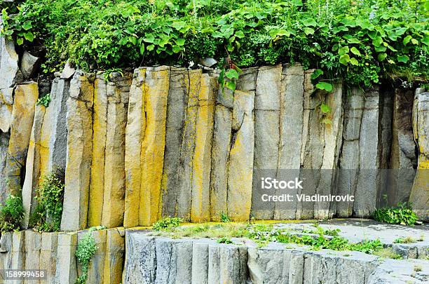 Pflanze On The Rocks Stockfoto und mehr Bilder von Blatt - Pflanzenbestandteile - Blatt - Pflanzenbestandteile, Bunt - Farbton, Extreme Nahaufnahme