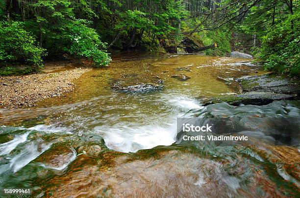 Corriente Rocks Cascada Foto de stock y más banco de imágenes de Agua - Agua, Aire libre, Arbusto