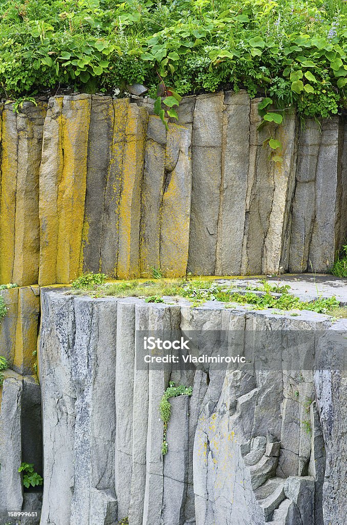 Plant on the rocks - Foto stock royalty-free di Ambientazione esterna