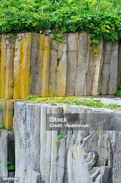 Plant On The Rocks - Fotografie stock e altre immagini di Ambientazione esterna - Ambientazione esterna, Bellezza naturale, Close-up