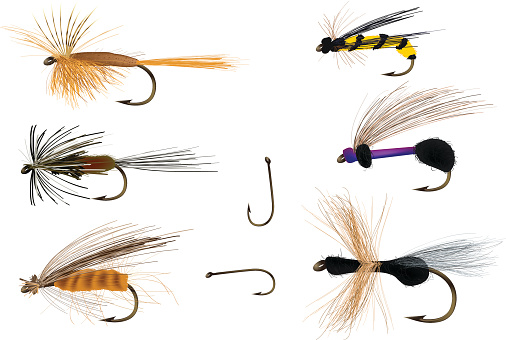 Dry flies on and with fishing hooks