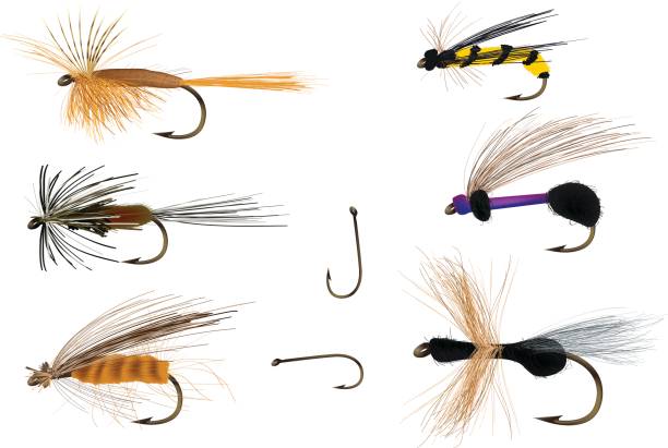 Dry flies on and with fishing hooks Fly fishing bait. hook equipment stock illustrations