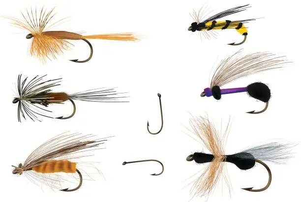 Vector illustration of Dry flies on and with fishing hooks