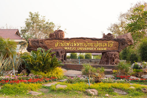 Plants and flowerbed with wooden welcome sign to Maejo Farm University agricultural area in San Sai in Chiang Mai province. Wide farming and university faculty nature area