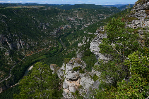 The Tarn gorges, view from the Roc des Hourtous belvedere, Lozère