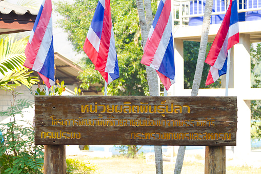 Sign with thai text for local aquaculture department and thai flags in province of Chiang Mai.