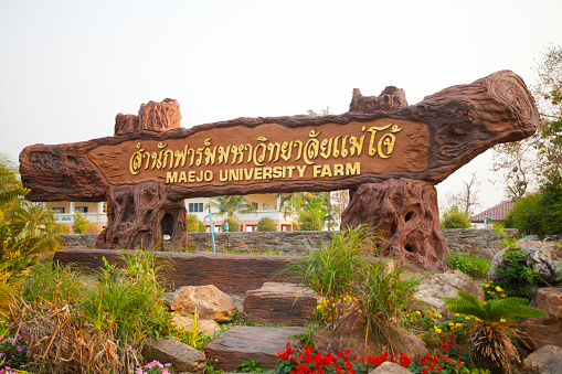 Wooden art welcome sign to Maejo Farm University agricultural area in San Sai in Chiang Mai province. Wide farming and university faculty nature area