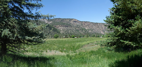 meadowland mesa. Ridgway, Colorado