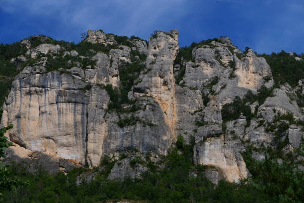 istock Gorges du Tarn, Lozere 1590011234