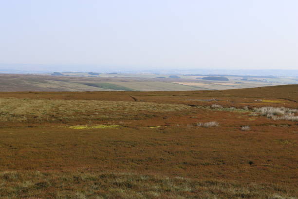 istock Remote moorland landscape in summer 1590016922