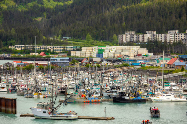 View is southwest from northeast side of boat Harbor. A wide variety of fishing craft are moored here along with support vessels and a U.S.Coast Guard cutter.  Shot in August 2013 using four frames of 6x6 cm Ektar film which were joined.