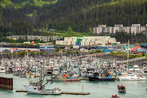 The port of Whittier full of boats in the summer