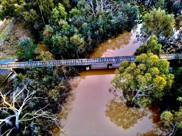 Small creek running through forest in Tungamah Moira shire Victoria