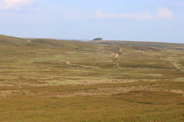 istock Remote moorland landscape in summer 1590018662
