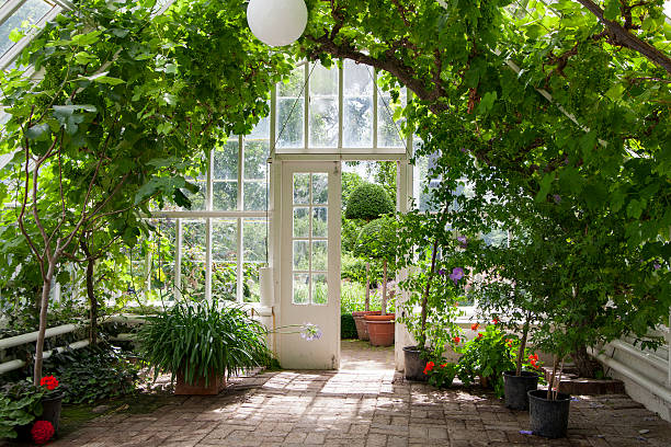 Garden greenhouse A green house full of flowers,  plants and trees. greenhouse stock pictures, royalty-free photos & images