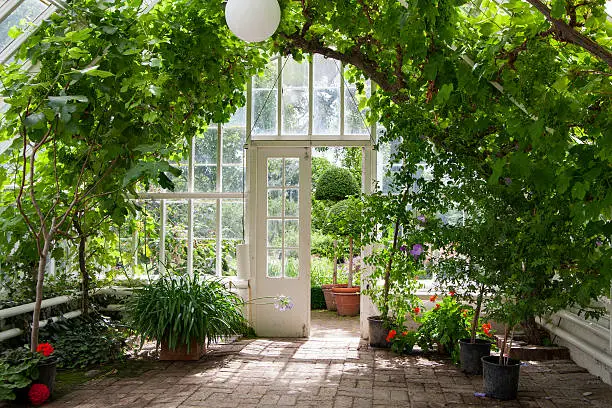 A green house full of flowers,  plants and trees.