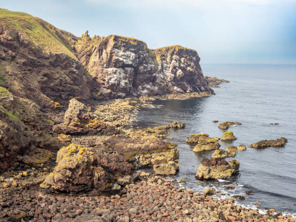 istock Horsecastle Bay near St Abbs Head, Scotland 1590026401