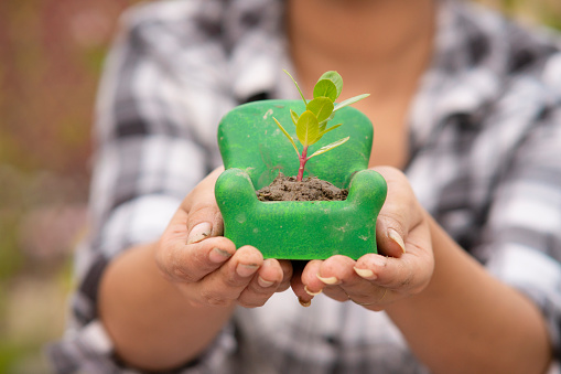 Recycling and sustainability – Close up of woman holding a cute small tree pot in hand made with miniature toy sofa for indoor home gardening.