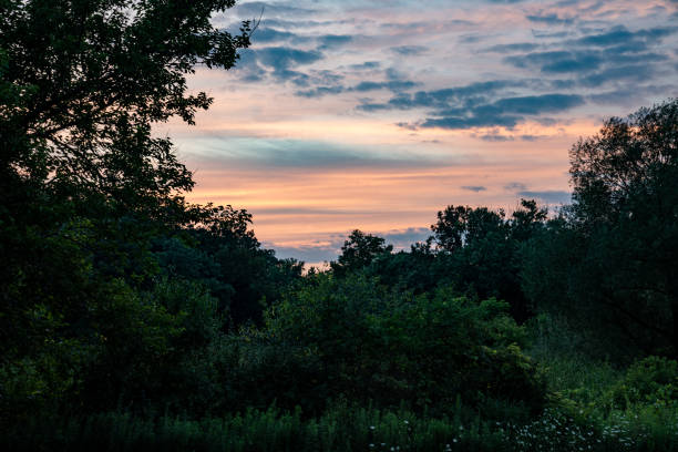 McGinnis Slough (Orland Grove Nature Preserve) at Twilight