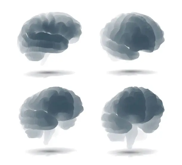 Vector illustration of set three-dimensional vector cyber brain. neural network mega-data processing, template interface design