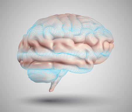 human brain and abstract design elements. mesh vector