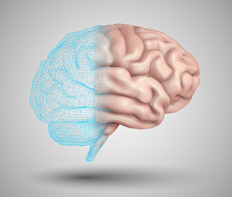 human brain and abstract design elements. mesh vector