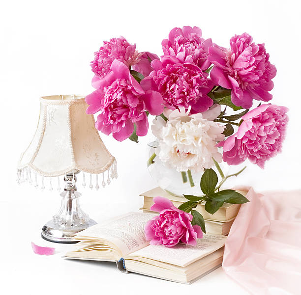 Bouquet of pink and white peonies stock photo