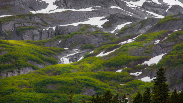 istock Waterfall above Whittier Alaska 1590060126