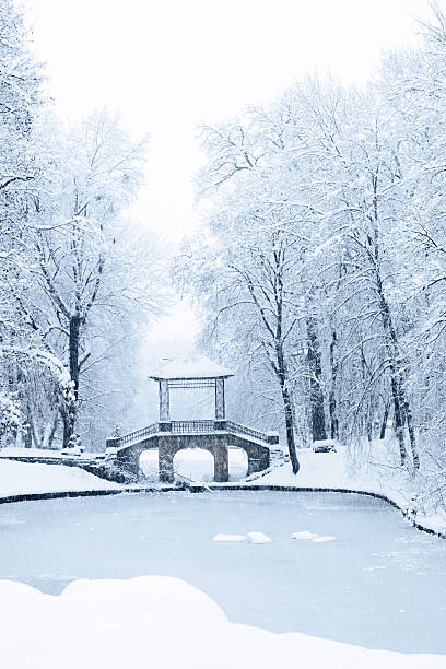 istock Chinese bridge, Ukrain 159006999